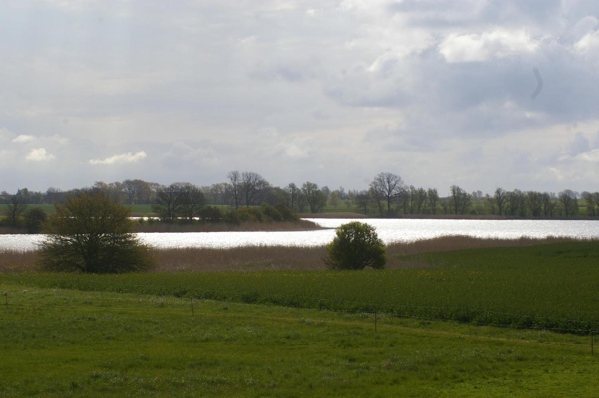 Ferienwohnung Boddenblick Zudar Luaran gambar